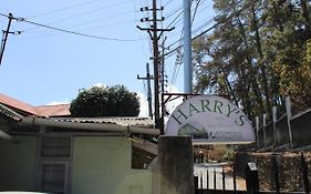 Harry'S Bed And Breakfast1